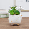 Cute Animal Ceramic Flower Pot